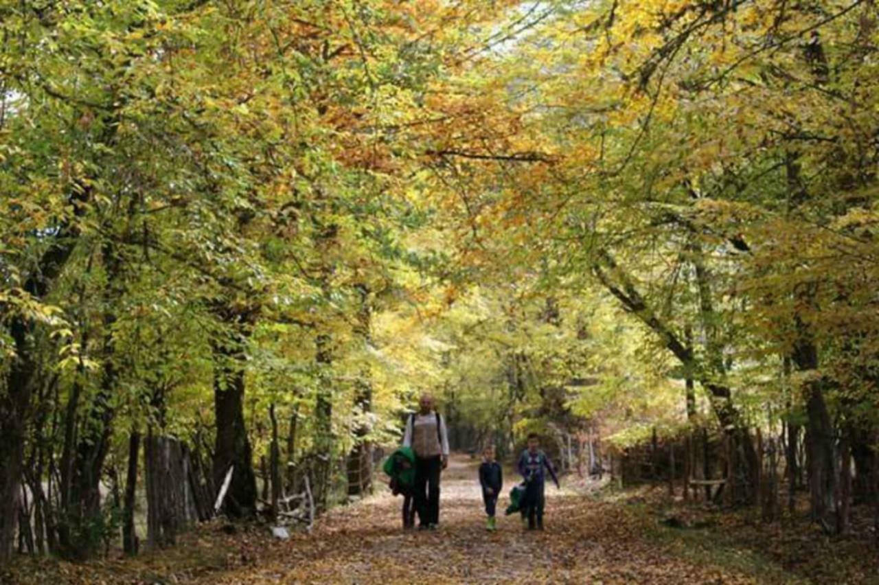 Seoski Turizam Zilicina Rogatica Buitenkant foto